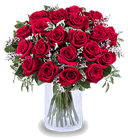 Turkish Rose