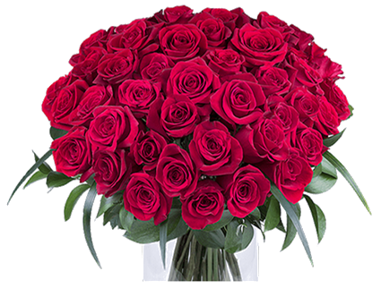 Turkish Rose